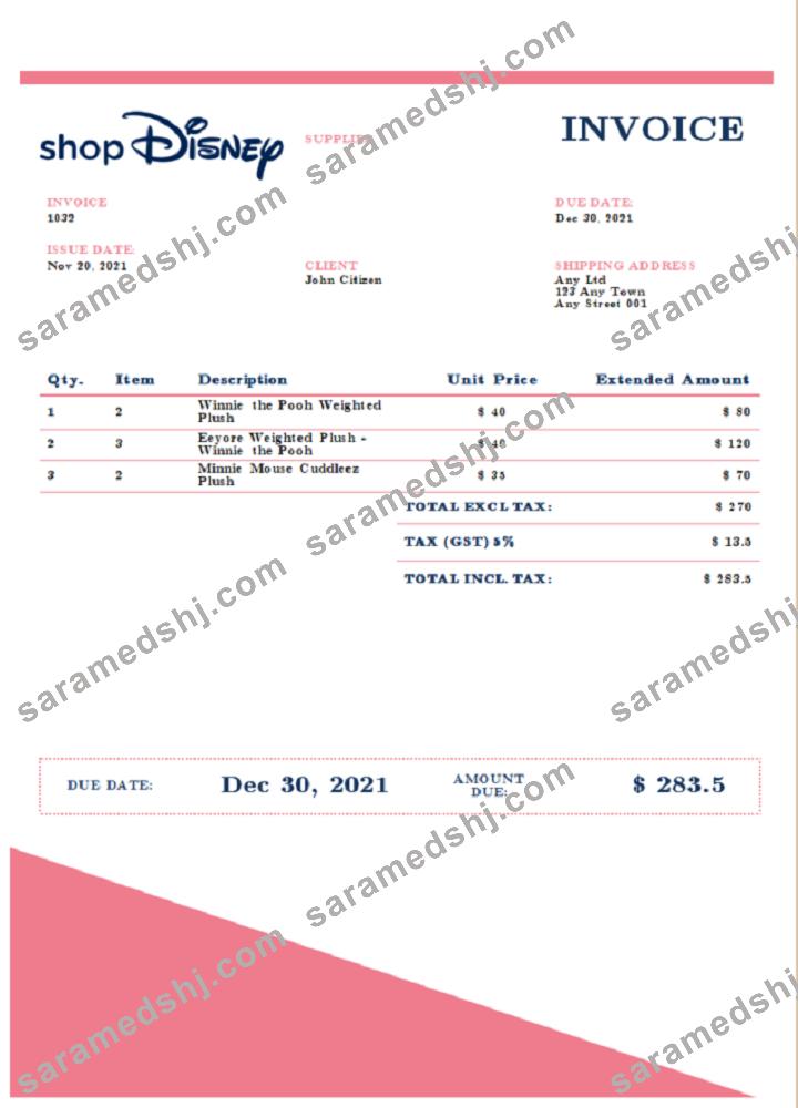 USA Disney invoice